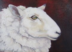 Blandine Andersen (21st Century) Oil on panel Cheviot, portrait of a sheep's head, signed lower