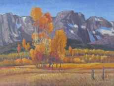 Nicolas Johannes Bott (Netherlands, 1941-2001) Oil on canvas board Fall, Buckley Valley, signed