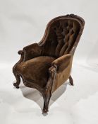 Victorian salon chair with brown button back upholstery, the mahogany frame with domed top rail