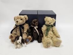 Merrythought ' Bruno The Official RSPCA Collectors teddy bear ' with his puppy on lead,  limited