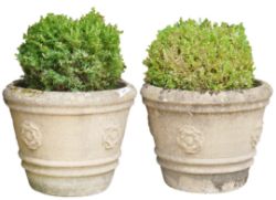 Treasures in Boxes, Books & Household items (Cirencester)