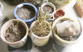Collection of garden planters in reconstituted stone, terracotta and glazed including two herb