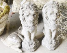 Pair of reconstituted stone lions sejant, 54cm high and a similar model of a pig (3)