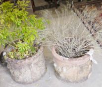 Pair of cylindrical terracotta garden planters with moulded pear tree decoration, 52cm diameter (2)