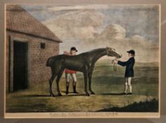 18th century hand-coloured engraving of the racehorse Pumkin, printed for R. Sayer & J. Bennett,