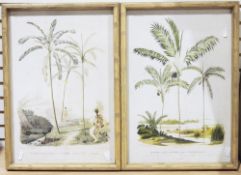 Four prints of palm trees reproduced from botanical plates, a carved wooden model of a cobra, a