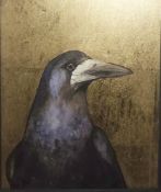 Jackie Morris watercolour drawing on gold leaf Rook, 19cm x 15.5cm, approx in box frame Condition