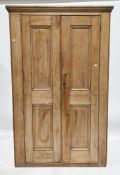 19th century pine wardrobe, the cornice over two moulded panel doors opening to a hanging space with