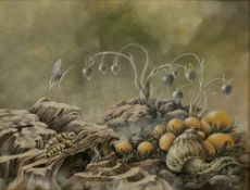 Edwin Cripps (British, b.1949) Acrylic on board 'Fantasy Study of Plants, Mollusk and Amphibian'(
