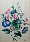 Alice Jackson (early 20th century) Watercolour & gouache on paper Botanical still life of