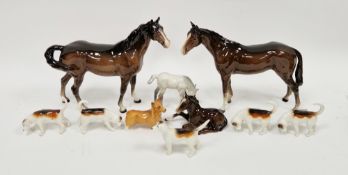 Two Beswick pottery models of bay horses, five fox hounds, a model of a corgi and two foals, printed