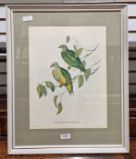 Five interior decorator's ornithological prints of Australian birds by John Gould and H C Richter,