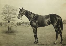 J/S Thomas Charcoal drawing Racehorse 'Verdict', dated 1923, signed, 51.5cm x 71.5cm