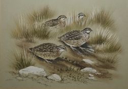 Paul A Nicholas Set of four watercolours  Gamebirds, signed and dated 1973, each 15cm x 21cm (4)