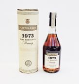 Napoleon 1973 strictly limited edition fine Bordeaux brandy, 70cl, 40% vol, in original tube
