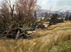 Allan Laycock Acrylic and watercolour  