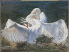 An indistinctly signed 20th century pastel on paper depicting two swans with spread wings. Signed to