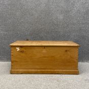 A Victorian pine trunk having a moulded top with iron hinges and handles on a plinth base. (Lid