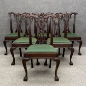 A set of six mahogany Chippendale style dining chairs each having a profusely carved scrolling