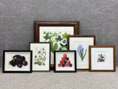 A collection of six botanical artworks to include two signed 1990's watercolours depicting stacks of