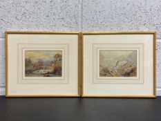After Samuel Read (1816-1883), two 19th century English school watercolour paintings on paper