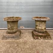 A pair of 19th century Neoclassical style carved stone campana form urns each having a wide flared