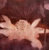 A contemporary sepia stipple print titled 'A Blessing', signed to the lower right and float