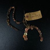 Oceania interest; tribal 'shell money' produced from pieces of carved Jewel Box shell (Chama