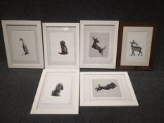 A collection of six limited edition lithographic prints depicting animals. All signed in glazed
