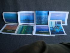 A collection of eight signed limited edition lithographs with blind stamps. All unframed. 69x50cm