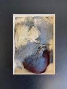 An early 20th century Art Deco ladies hand-made from a taxidermy peacock with natural hues