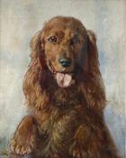 Arthur Gay (1895-1981), a mid 20th century watercolour portrait of a cocker spaniel, signed to the