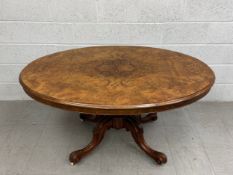 A mid 19th century quarter veneered burr walnut tilt top dining table on carved pedestal base. H.