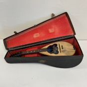A 19th century Neapolitan mandolin by Giovanni de Meglio, Naples 1896 bearing a signed label that