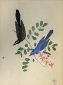 A late 19th century gouache on paper depicting two birds on a branch, signed to the lower right R.