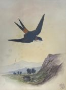 A late 19th century gouache on paper depicting a swallow in flight over a mountainous landscape,