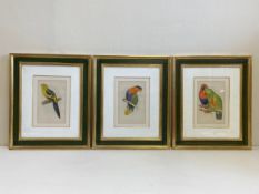 A set of three 20th century lithographs depicting tropical birds titled 'New Guinea Eclectus', '