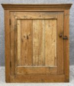A late 19th/early 20th century pine pantry cupboard with a moulded cornice above a single panelled