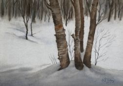 A 20th century watercolour, birch trees in a winter landscape, signed R. J. Tilley to the lower