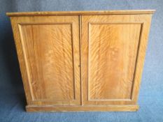 A 19th century satin birch side cabinet having a narrow rectangular top over two panelled doors, one