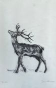 A contemporary lithograph titled 'Hunt', signed to the lower right in a glazed frame. H.47.5 W.37.