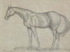 A 20th century pencil portrait of a horse, signed Rosemary Fitzgerald to the lower left in a
