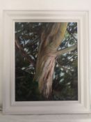 A contemporary oil on canvas by S. Powell titled 'Old Chestnut Tree', signed to the lower left in