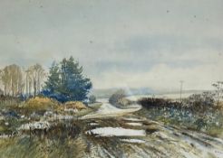 A contemporary English School watercolour depicting a rural autumnal landscape, signed Bill Toop