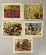 Eileen Alice Soper (1905-1990), a set of five 1950s educational school posters, illustrations for