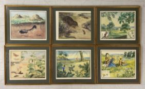 Eileen Alice Soper (1905-1990), a set of six 1950s educational school posters in glazed gilt frames,