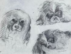 A contemporary pencil drawing, studies of a Cavalier King Charles Spaniel, signed and dated 1985