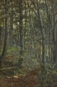 A 19th century oil on canvas, woodland scene, in a gilt gesso frame. H.56 W.40.5cm