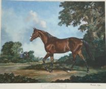 Madeline Selfe (1910-2005), a 20th century lithograph after the original painting of the Derby
