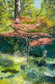 A contemporary oil on board, small red maple tree in woodland setting, signed and dated 2002 in a